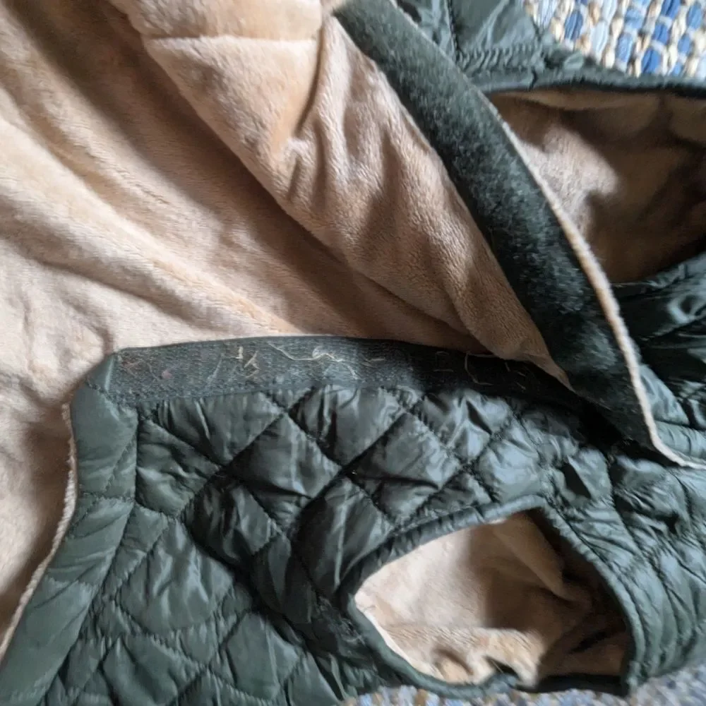 Nautica pet olive